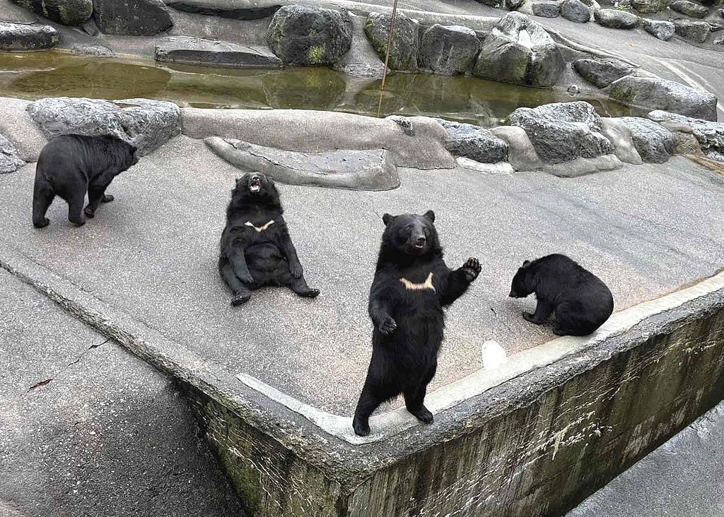 奥飛騨クマ牧場