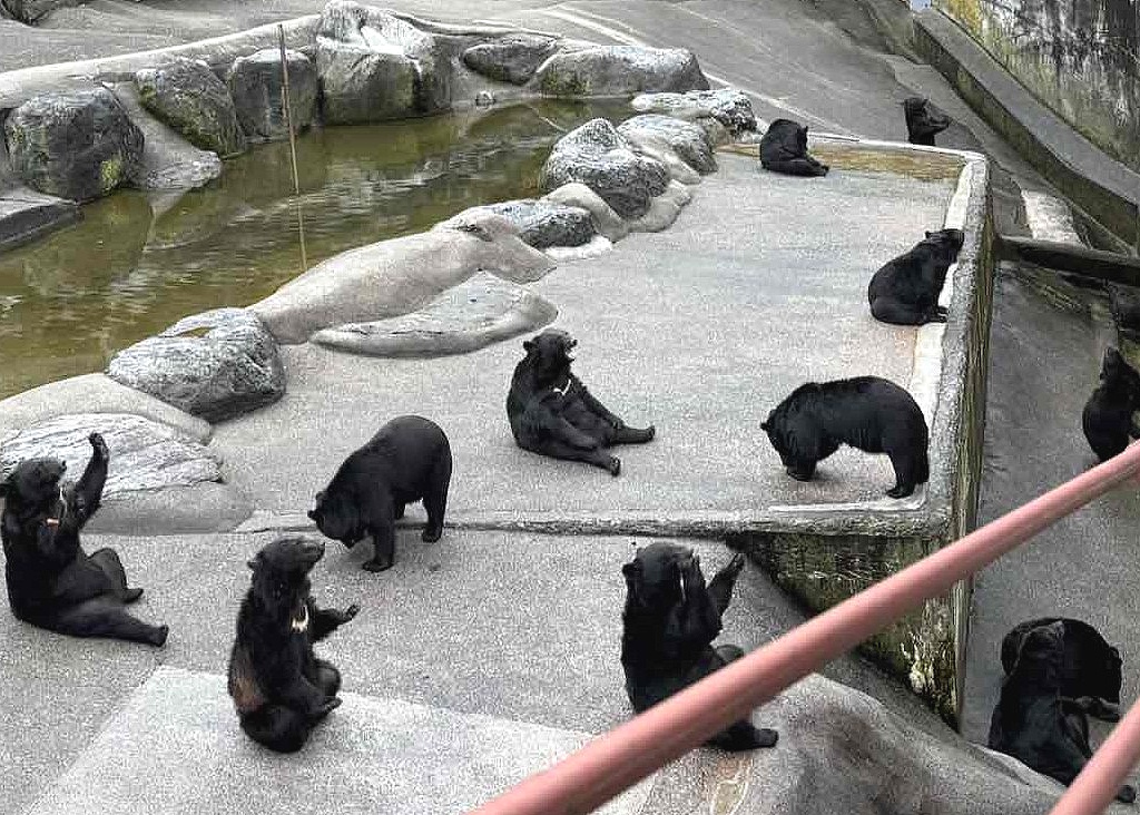 奥飛騨クマ牧場