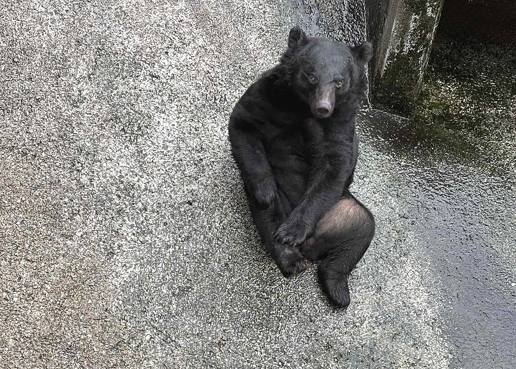 奥飛騨クマ牧場