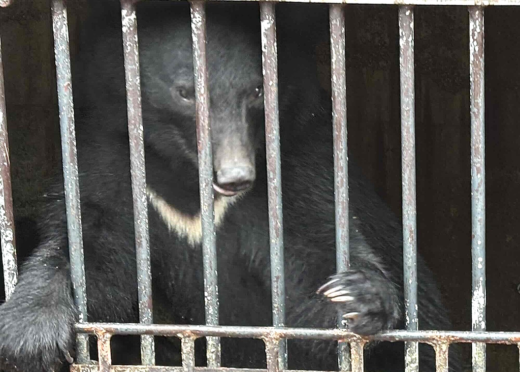 奥飛騨クマ牧場